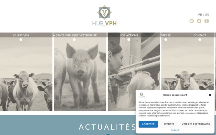 Screenshot of hub-vph.org