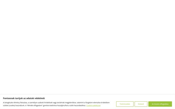 Screenshot of huberpince.hu
