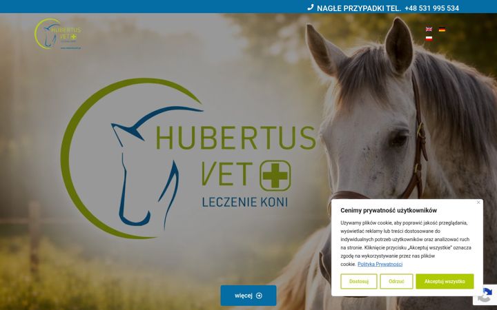 Screenshot of hubertusvet.pl