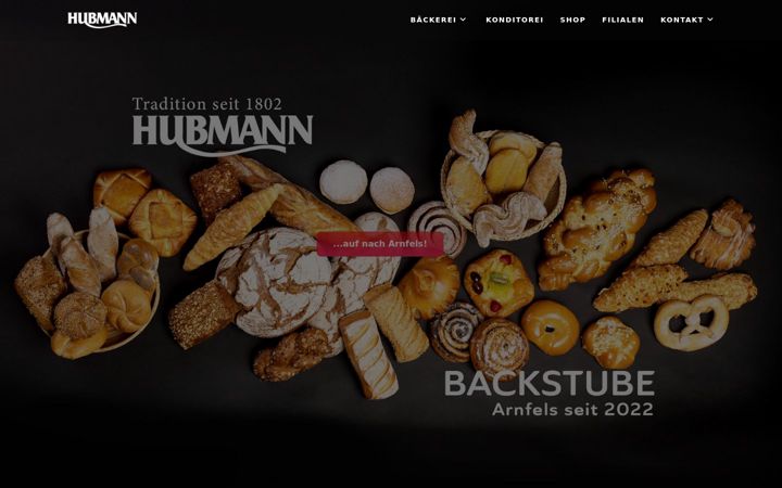 Screenshot of hubmann-leibnitz.at