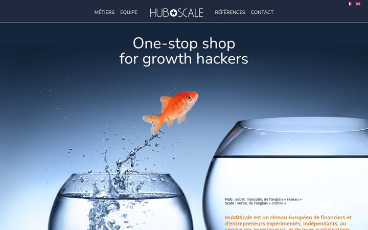 Screenshot of hubscale.eu