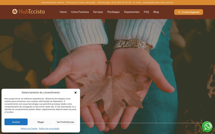 Screenshot of hubtccista.com.br