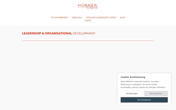 Screenshot of huebner-development.com