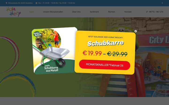 Screenshot di hulahoopspielwaren.de