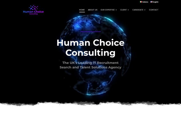 Screenshot of humanchoiceconsulting.com