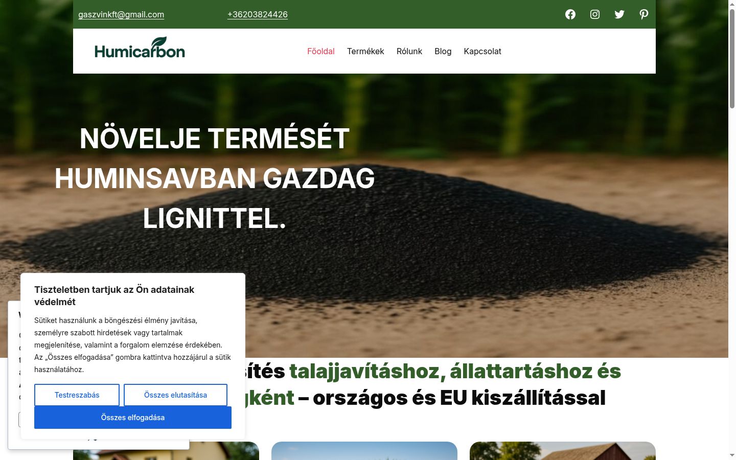 Skærmbillede af samtykkebanneret, som det blev vist før nogen interaktion