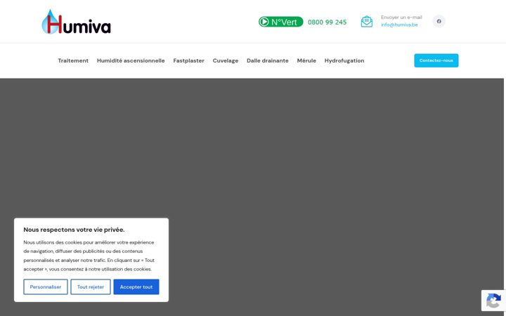 Screenshot of humiva-traitementhumidite.be