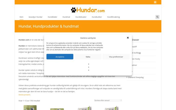 Screenshot of hundar.com