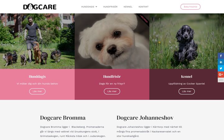 Screenshot of hunddagis.se