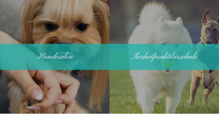 Screenshot van hunde-salon-tiffany.de