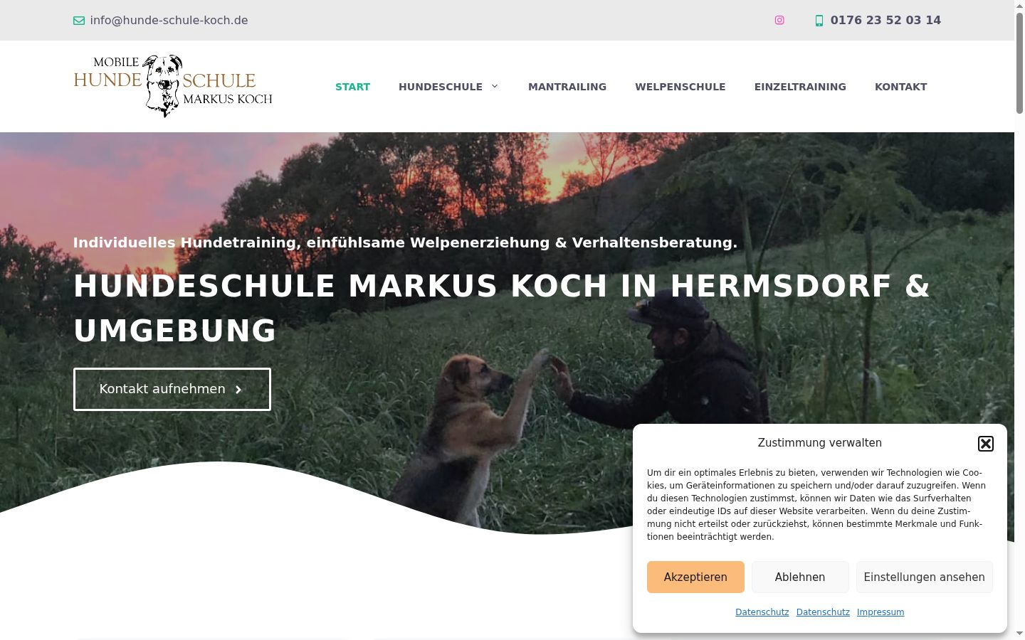 Screenshot van de toestemmingsbanner zoals getoond vóór enige interactie