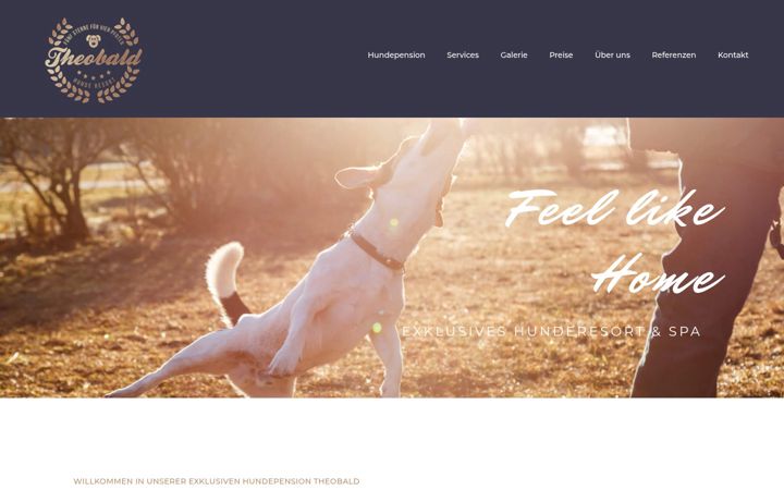 Screenshot van hundebetreuung-theobald.de
