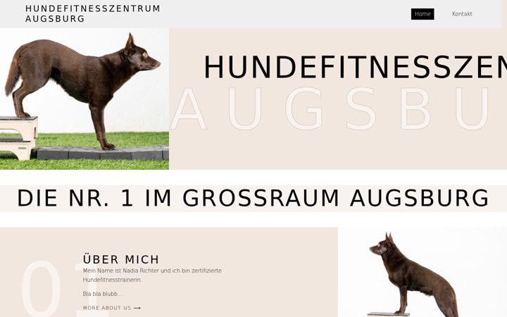 Screenshot του hundefitnesszentrum.de