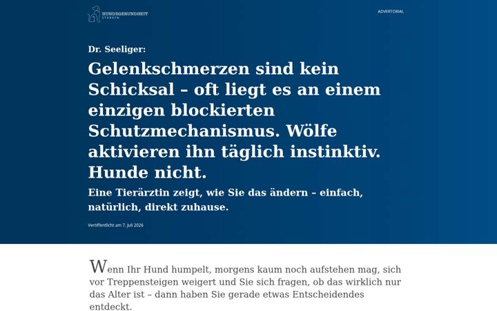 Screenshot of hundegelenkratgeber.com