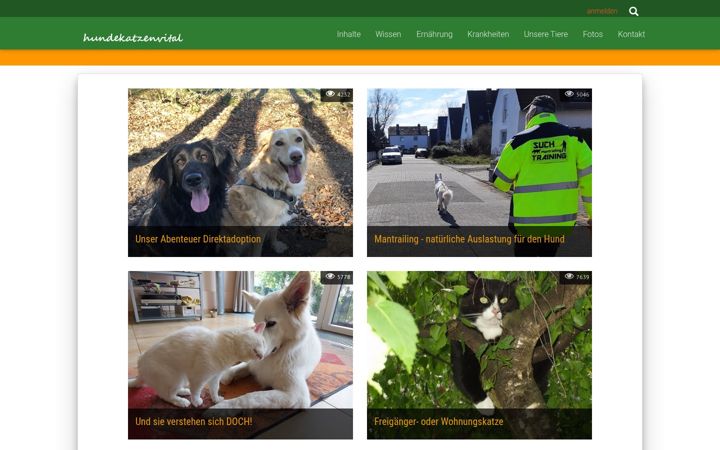 Screenshot of hundekatzenvital.de