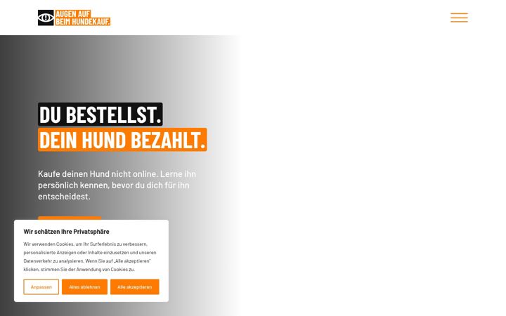 Screenshot of hundekauf.ch