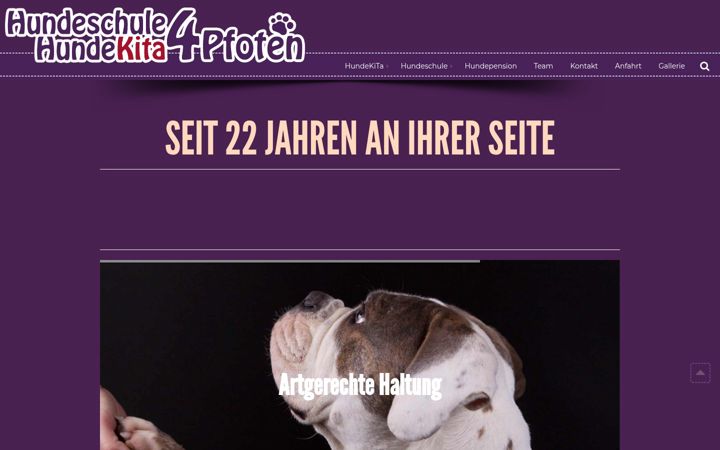 Screenshot of hundekita4pfoten.de