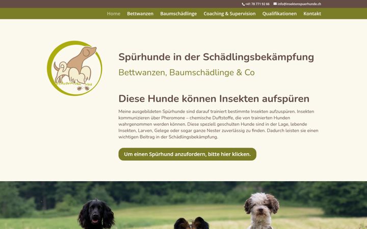 Screenshot of hundelongierschule.ch