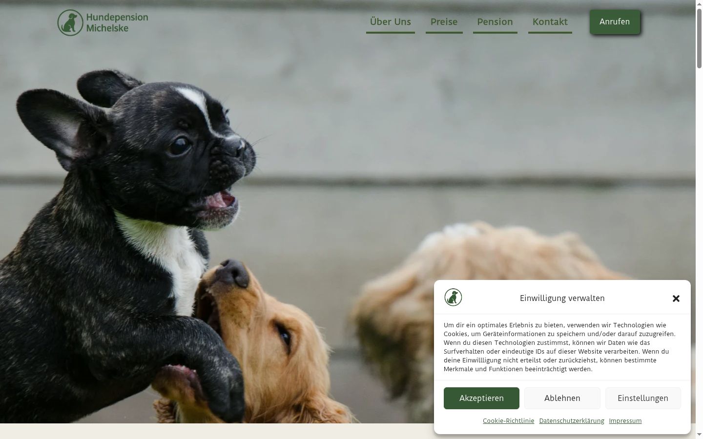 Screenshot of the consent banner shown before any interaction