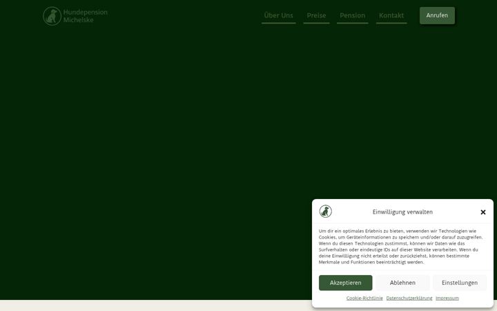 Screenshot of hundepension-michelske.de