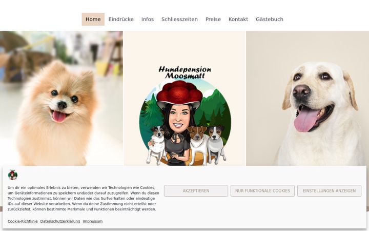 Skjámynd af hundepension-moosmatt.de