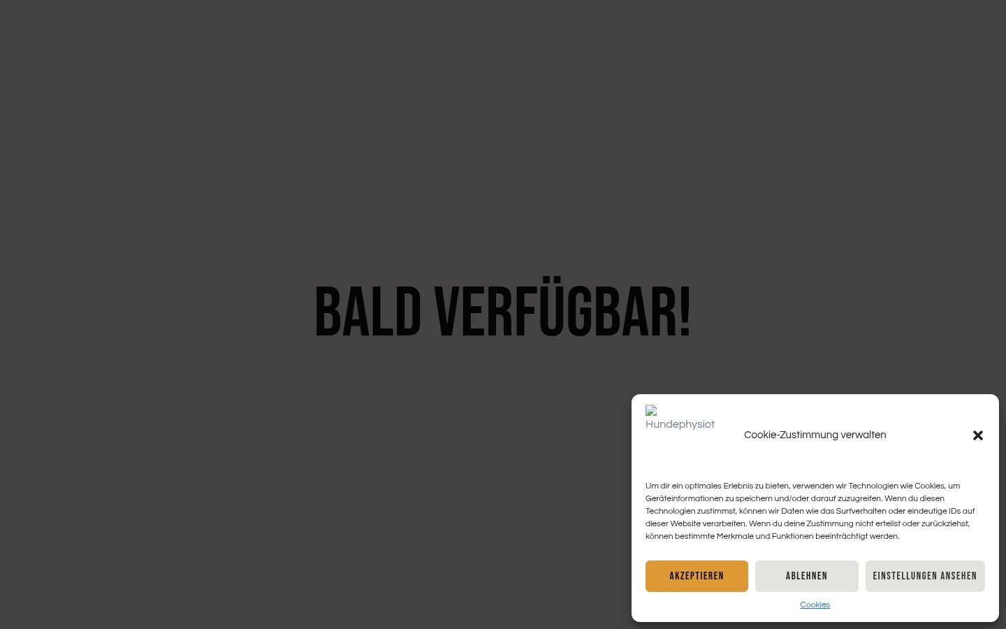 Captura de pantalla del banner de consentimiento mostrado antes de cualquier interacción