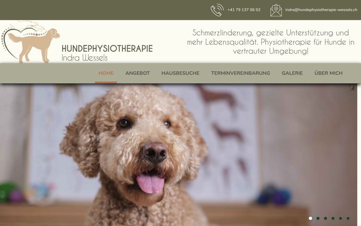 Screenshot of hundephysiotherapie-wessels.ch