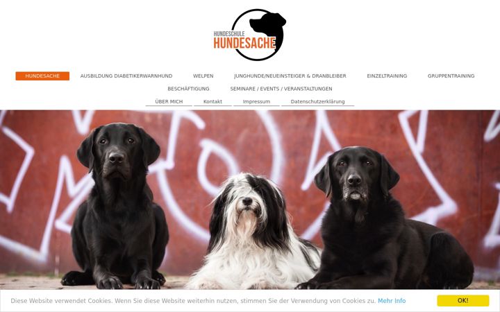 Screenshot of hundesache-karlsruhe.de