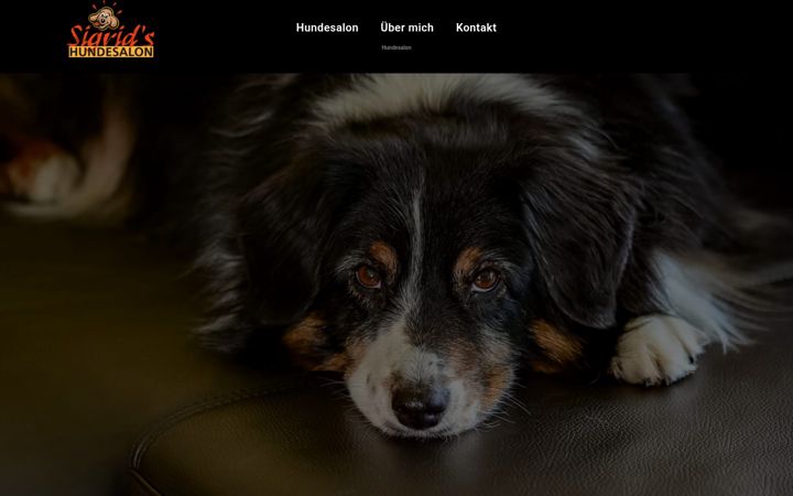 Screenshot of hundesalon-sonthofen.de