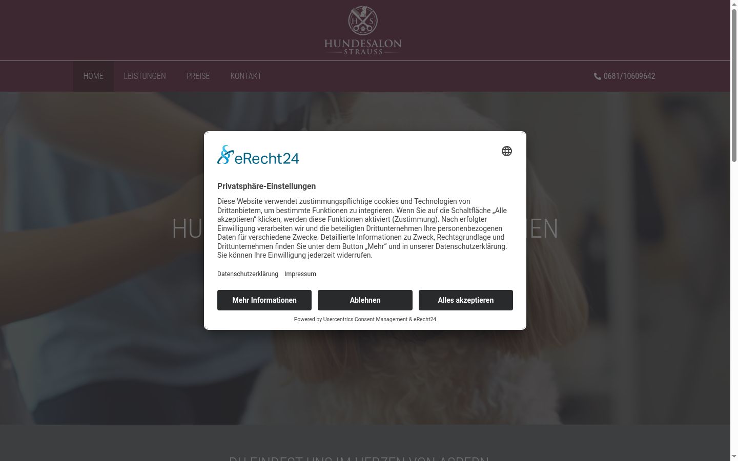 Screenshot of the consent banner shown before any interaction