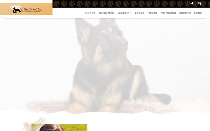 Screenshot of hundesalonmilion.de