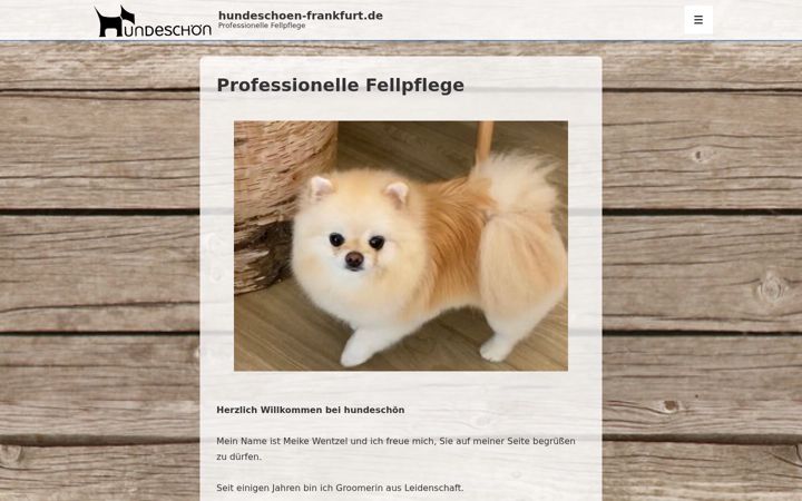 Skjámynd af hundeschoen-frankfurt.de