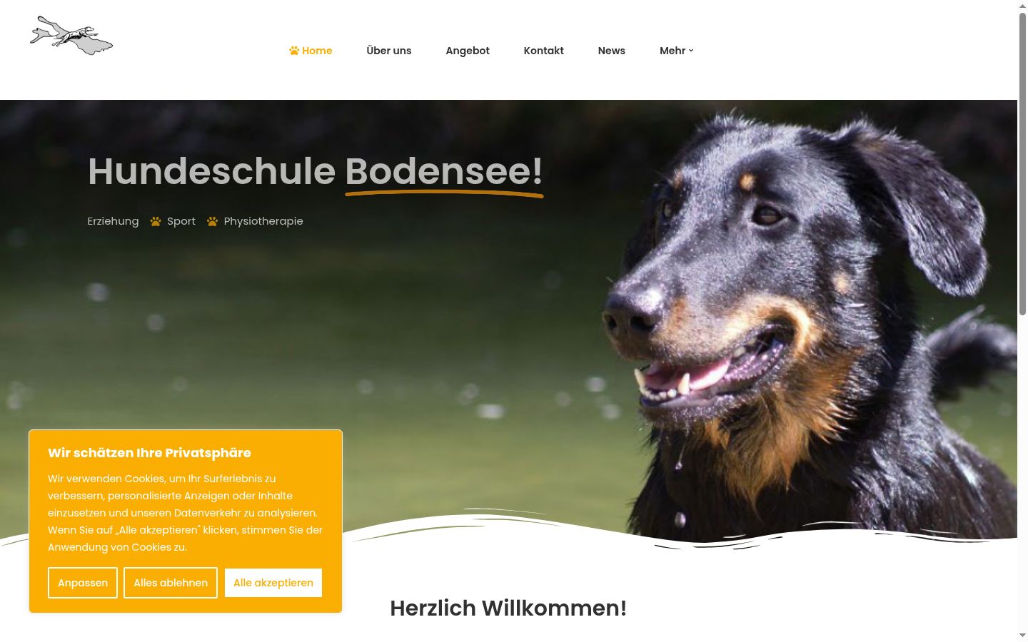 Screenshot des Einwilligungsbanners vor jeglicher Interaktion