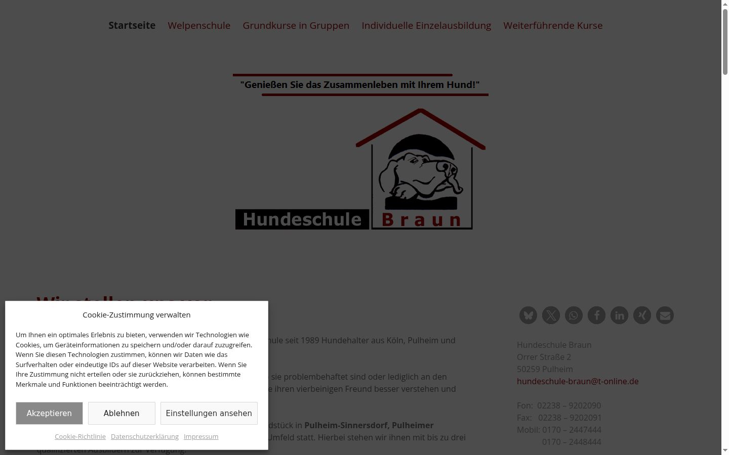 Captura de pantalla del banner de consentimiento mostrado antes de cualquier interacción