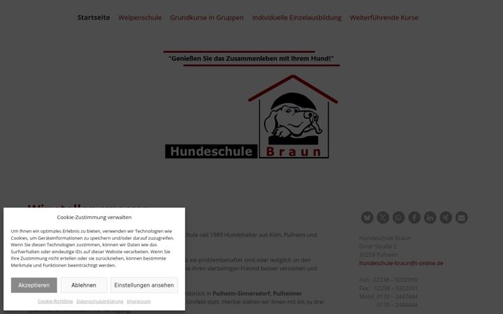 Skjámynd af hundeschule-braun.de