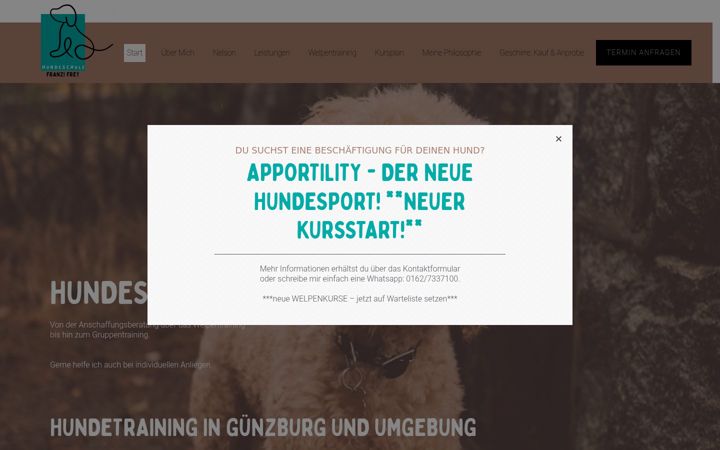 Captura de pantalla de hundeschule-franzifrey.de