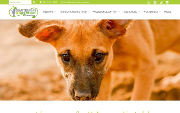 Captura de pantalla de hundeschule-jacobs.de