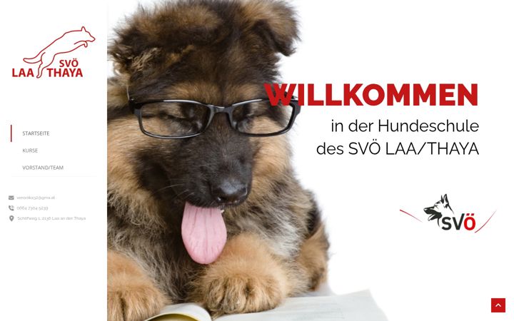 Screenshot of hundeschule-laa.com