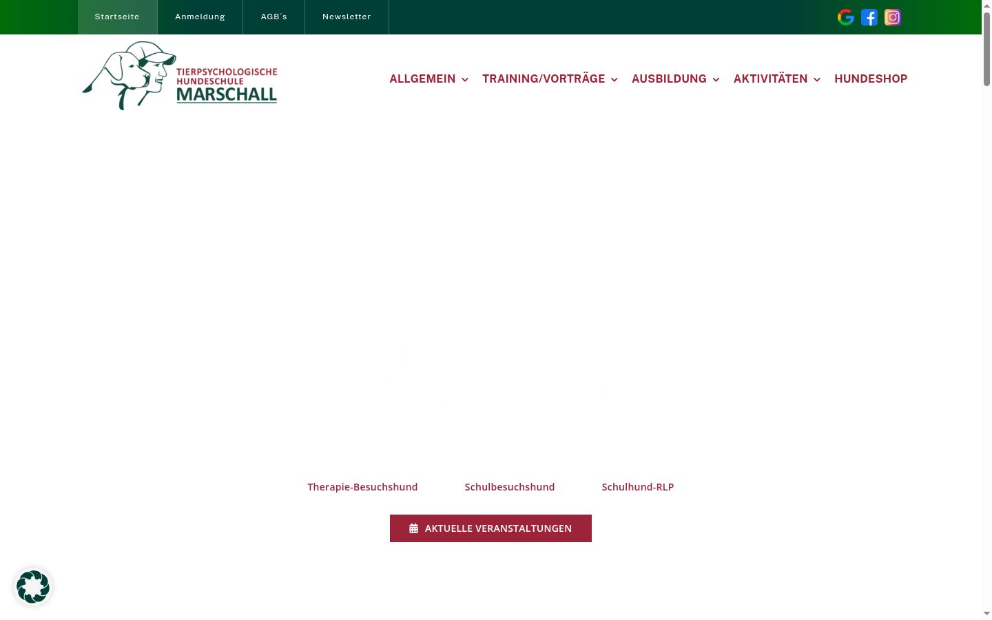 Screenshot van de toestemmingsbanner zoals getoond vóór enige interactie
