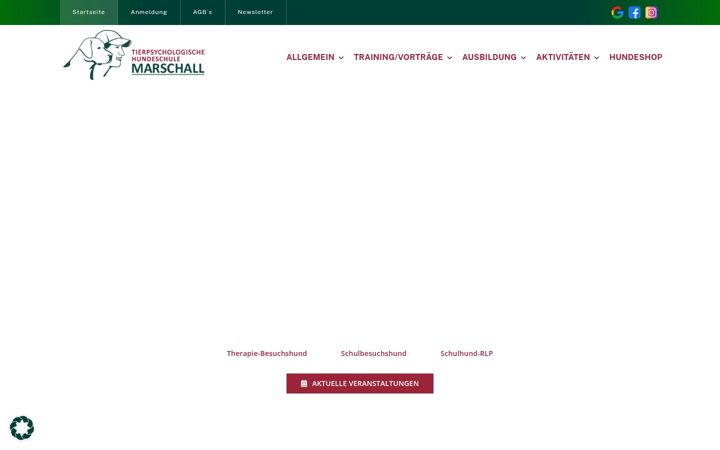 Captura de pantalla de hundeschule-marschall.de