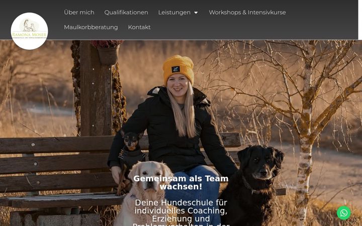 Captura de pantalla de hundeschule-moser.de