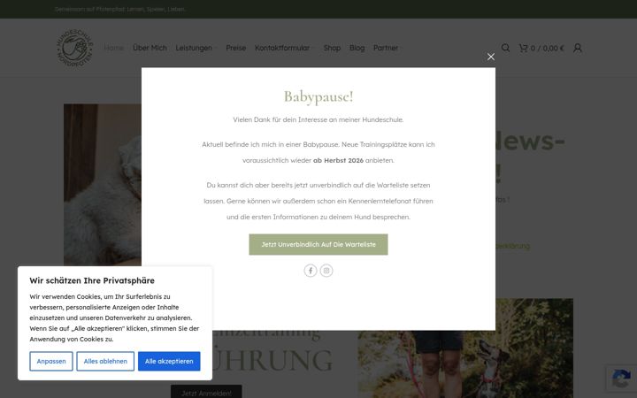 Screenshot of hundeschule-nordpfoten.de