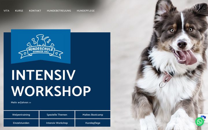 Captura de pantalla de hundeschule-schnauzevoll.de