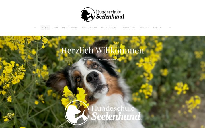Screenshot of hundeschule-seelenhund.de