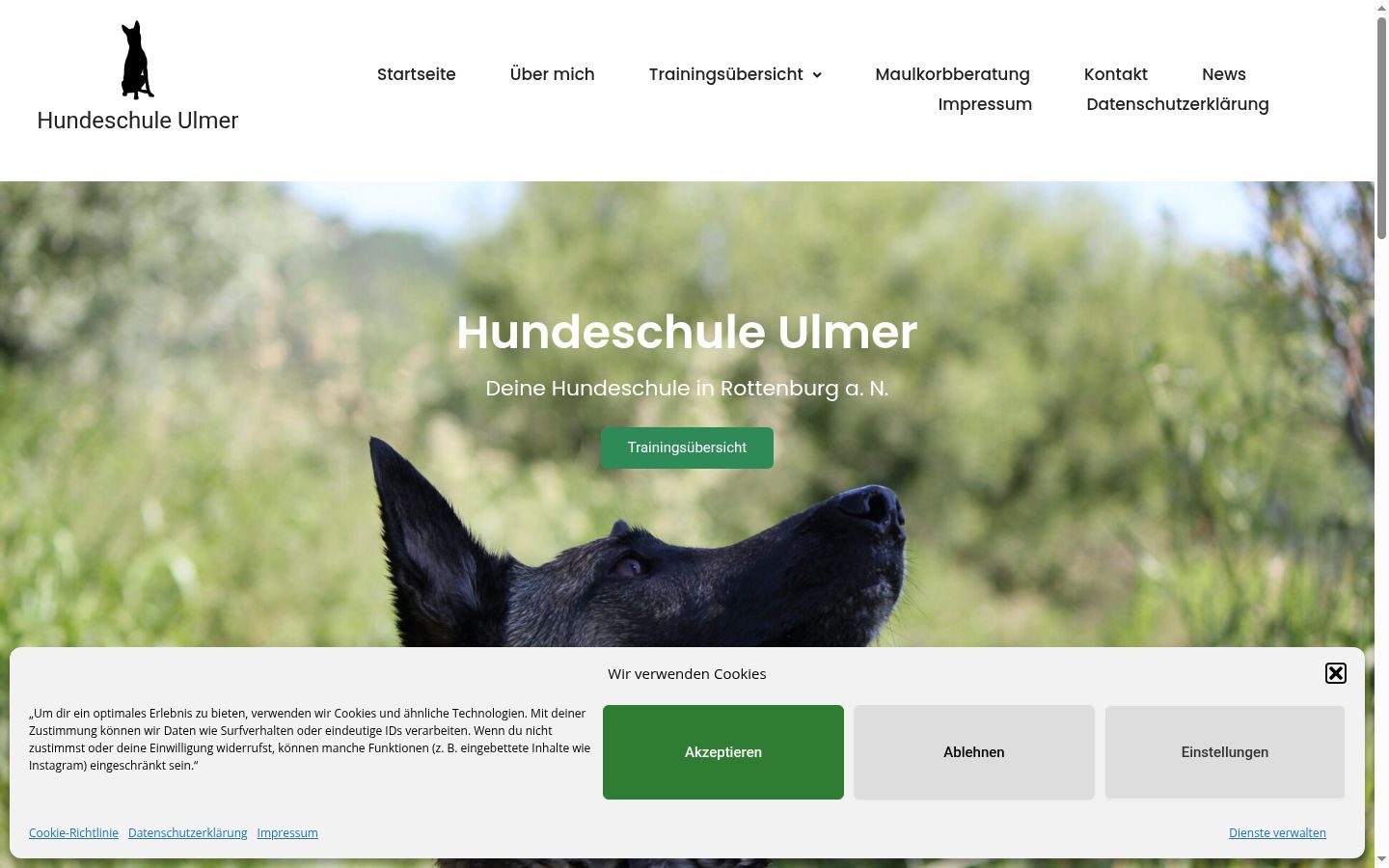 Screenshot des Einwilligungsbanners vor jeglicher Interaktion