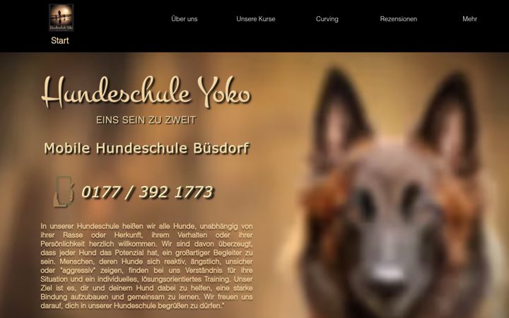 Skjámynd af hundeschule-yoko.de