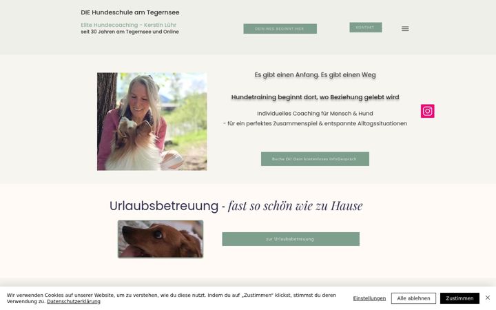Screenshot of hundeschuleluehr.de