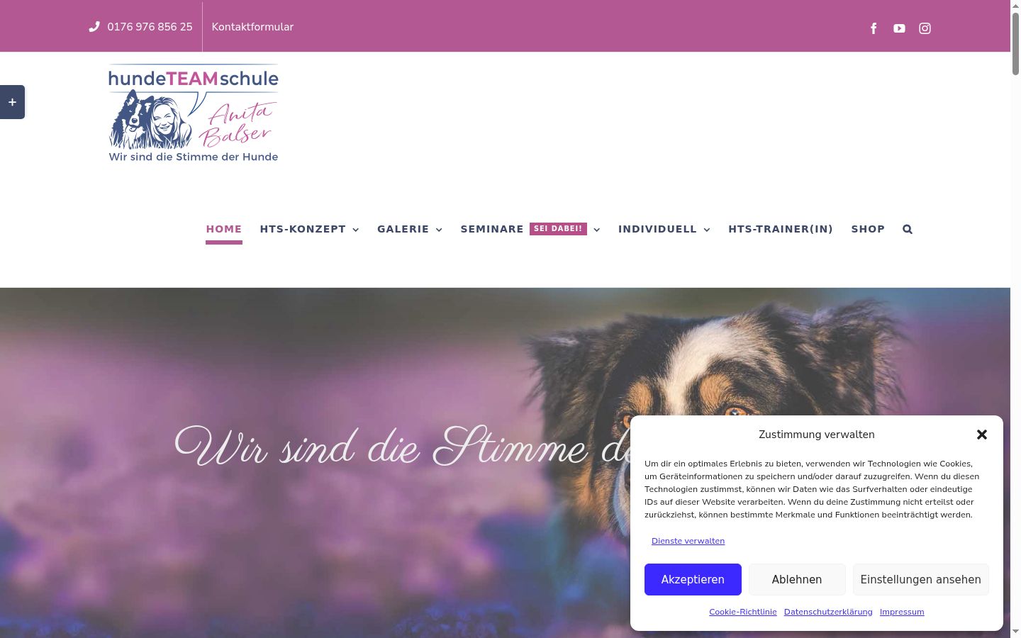 Captura de ecrã do banner de consentimento apresentado antes de qualquer interação