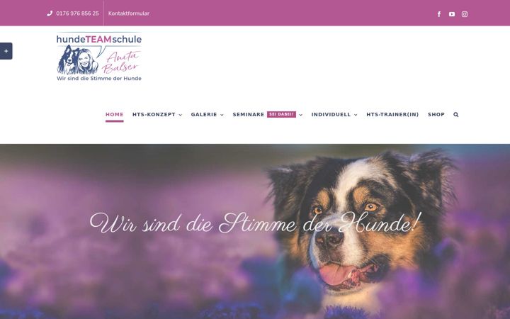 Screenshot of hundeteamschule.de