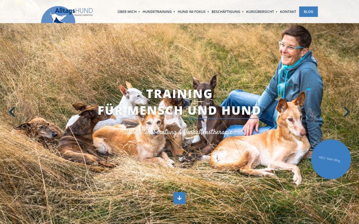 Screenshot of hundetraining-alltagshund.de